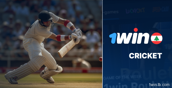 Cricket betting live on 1Win